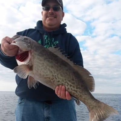 Great day of Grouper fishing off Wrightsville Beach, NC