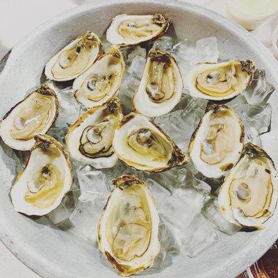 Oysters by the dozen