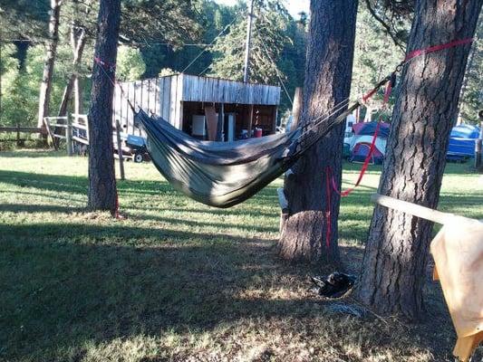 They will even accommodate hammocks.