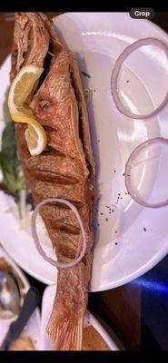 Pargo (fried red snapper).