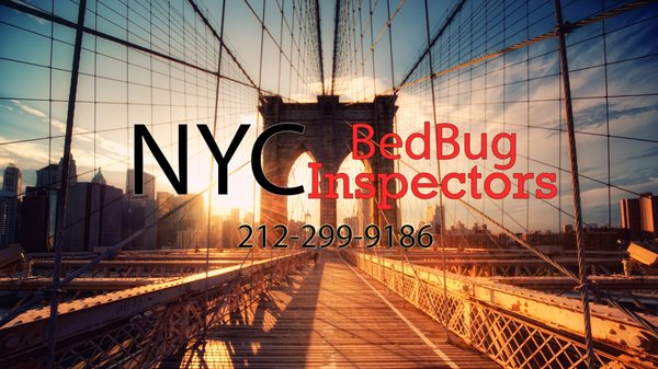 Your Bedbug Inspection, Detection & Elimination solution. Got questions? Give us a call. 212-299-9186