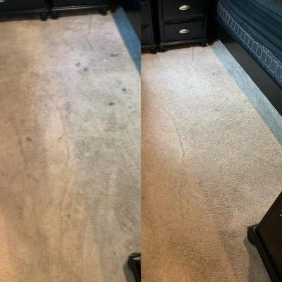 Carpet Cleaning