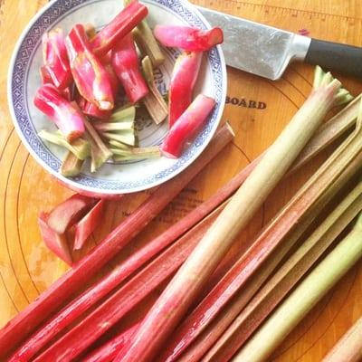 Organic rhubarb from Zaradka Farm