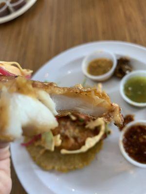 Their fish taco! (Look at how moist, and perfectly fried it is)