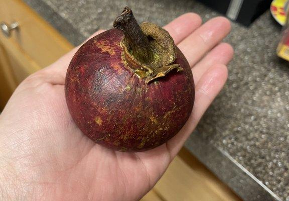 Mangosteen