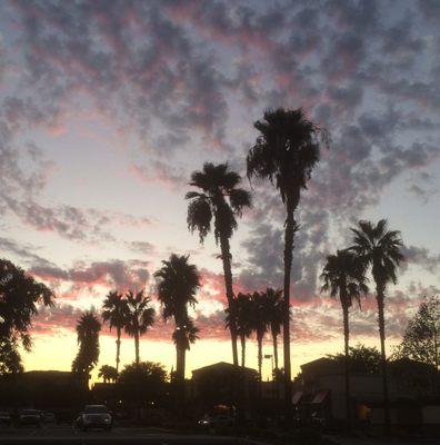 Sunset at Marketplace on Grove, 9-12-17.