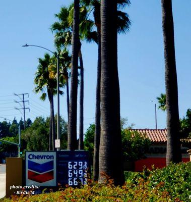 91 Octane $6.67/gallon.  Welcome to SoCal!  - 9/23/23