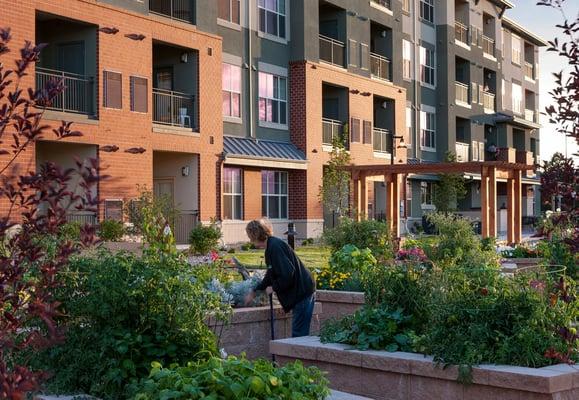 Wheat Ridge Town Center, affordable senior living apartments located in the Northwest Denver metro area.