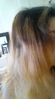 Ombre done by owner