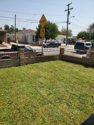 Sod was freshly laid.