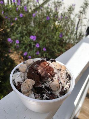 Salty Dog Trio:  Cookie Dough, Oreo, and Brownie Pieces in a Vanilla Ice Cream.