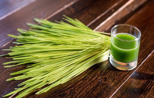 Wheatgrass Shot