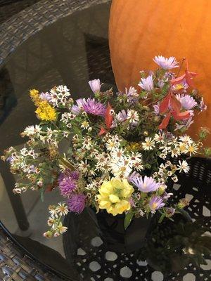 Aquidneck Fall flowers