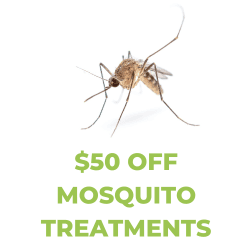 Reclaim your backyard with $50 off mosquito treatments for your home.