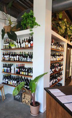 Nice variety of wine & lush foliage (8/2/23)