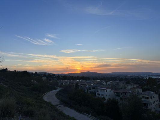 Sunset  in the park