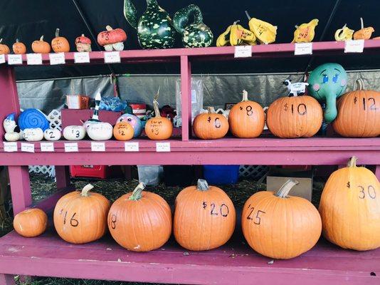 Pumpkin pricing