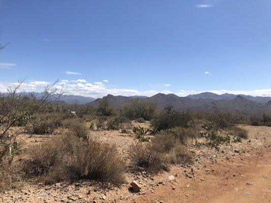 Scenery on the trail