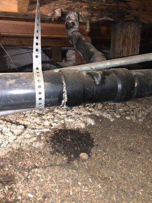 Cracked joint on ABS Drain Pipe ready for a sewer line replacement.