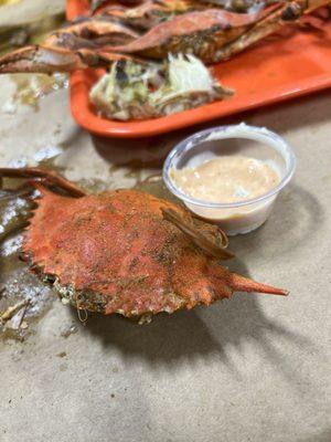 "Large" crab.. little bigger than sauce container!