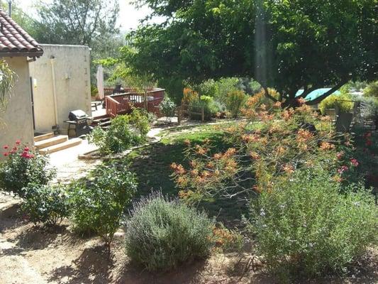 All Landscaping using shrubs and cactus purchased at Wally's World, El cajon, CA. Designed by Kathleen Lange