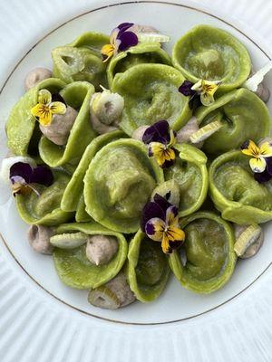 Cappelletti Verde