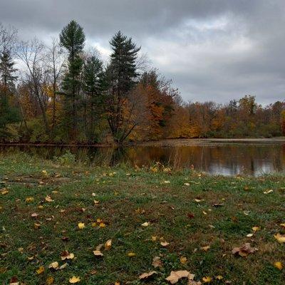 Pond in the park