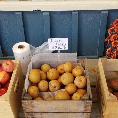 Asian Pears.  Interesting.