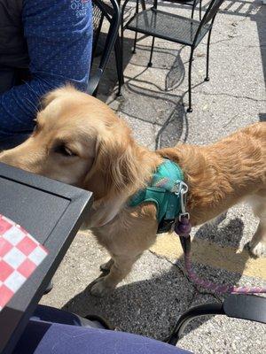 Dog friendly patio!