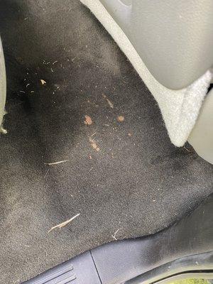 Icky stain in the carpet of this beautiful Chevy Silverado. Pre-removal