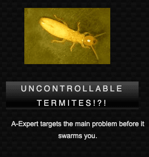 A-Expert Extermination