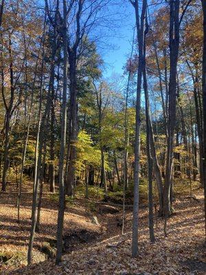 Fishers road trail loop