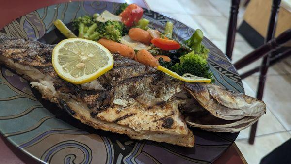 Whole Bronzina