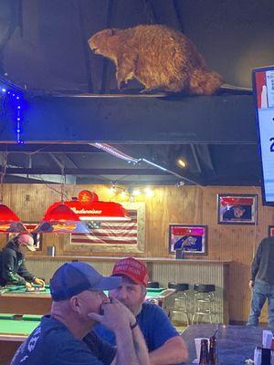 Locals and a big beaver.