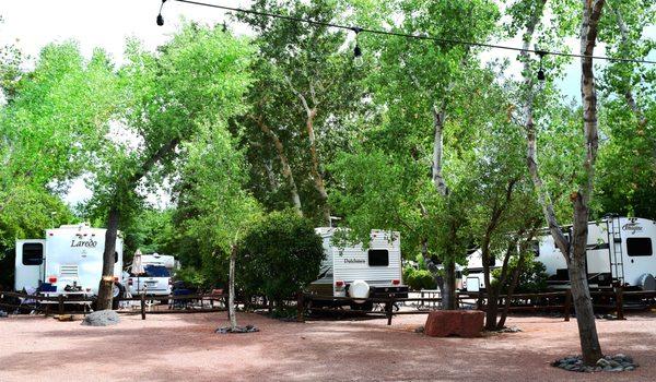 Mature trees and bushes for shade and privacy throughout the park