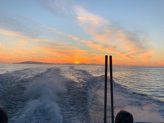 View on the back of the 3:30 boat of the incredible sunset!