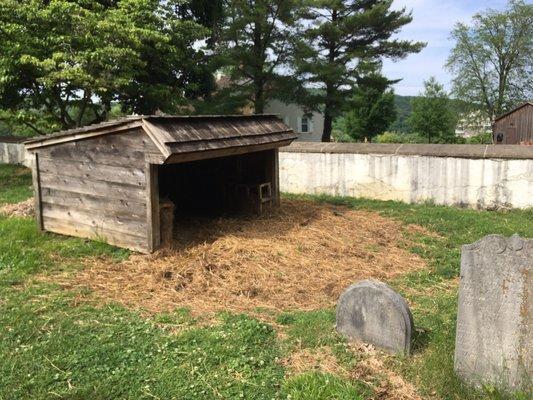 Sheep shelter