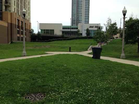 Great hill for dogs and movies in the park.