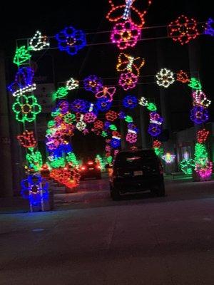 Christmas lights at TMS 12-11-20