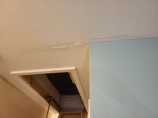 ceiling damage