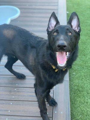 Smiling for mom while I'm at boarding!