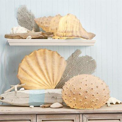 Coastal/Summer decor.  Table lamps will provide beachy ambiance.