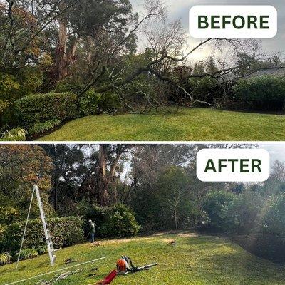 Before and After pics of a tree emergency we had.