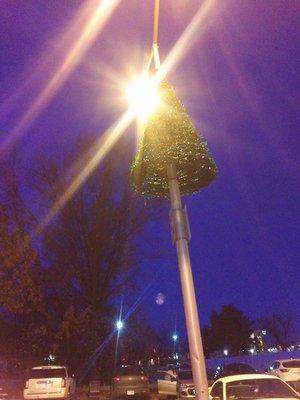 We like the simple red and green Christmas trees.  The Market Basket stores have them on the parking lot light posts every year.