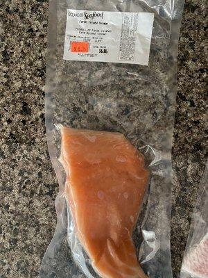 Salmon