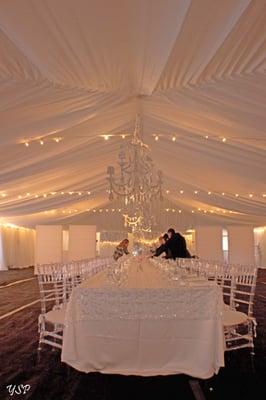 Lucite ballroom chairs