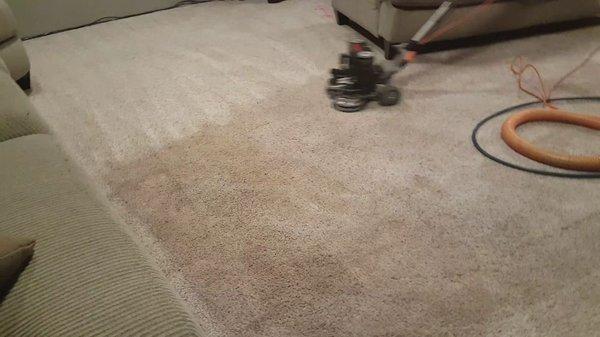 Rotovac cleans well