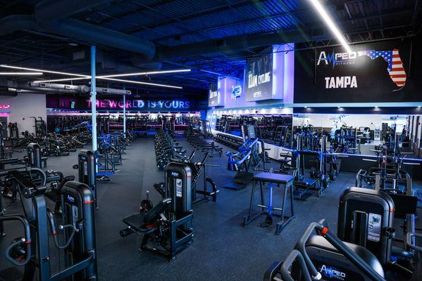 Amped Fitness Carrollwood