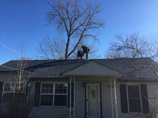 We like roofs and always do our best to walk them when ever safe to do so.