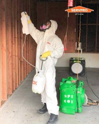 Mold can hide in your home, to the point where it can cause permanent damage to your home's structure! Check out our technician in action!